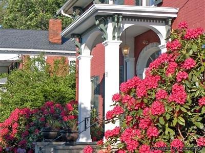 Grape Arbor Bed And Breakfast North East Exterior foto